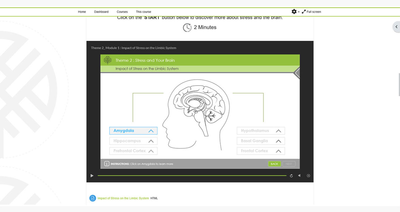 Symotree – LMS